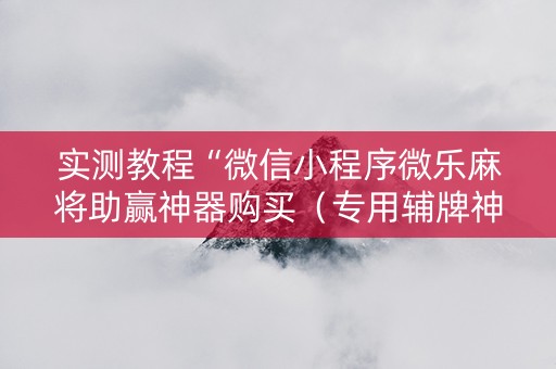 实测教程“微信小程序微乐麻将助赢神器购买（专用辅牌神器免安装）