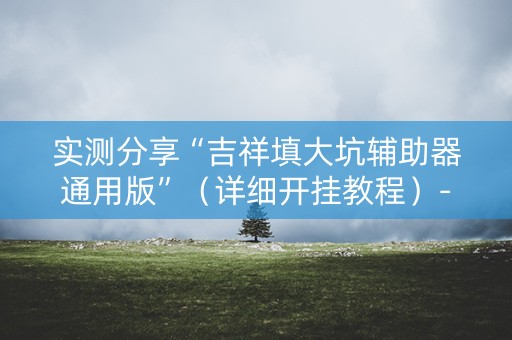 实测分享“吉祥填大坑辅助器通用版”（详细开挂教程）-哔哩哔哩