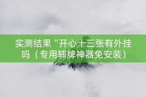 实测结果“开心十三张有外挂吗（专用辅牌神器免安装）