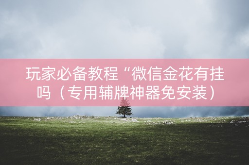 玩家必备教程“微信金花有挂吗（专用辅牌神器免安装）