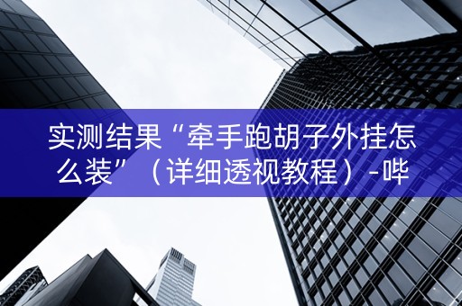 实测结果“牵手跑胡子外挂怎么装”（详细透视教程）-哔哩哔哩