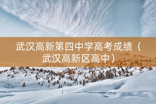 武汉高新第四中学高考成绩（武汉高新区高中）