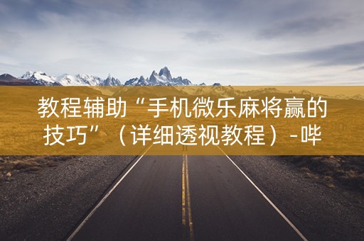 教程辅助“手机微乐麻将赢的技巧”（详细透视教程）-哔哩哔哩