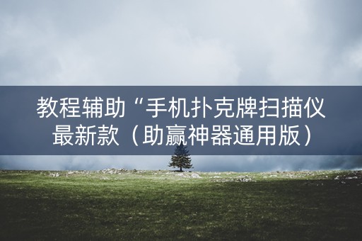 教程辅助“手机扑克牌扫描仪最新款（助赢神器通用版）