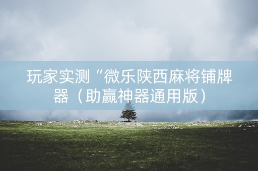玩家实测“微乐陕西麻将铺牌器（助赢神器通用版）