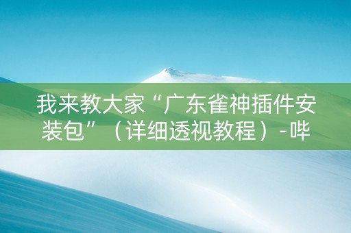 我来教大家“广东雀神插件安装包”（详细透视教程）-哔哩哔哩