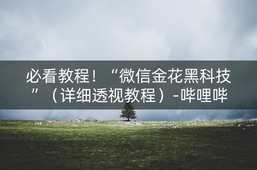 必看教程！“微信金花黑科技”（详细透视教程）-哔哩哔哩