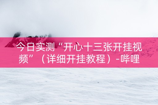 今日实测“开心十三张开挂视频”（详细开挂教程）-哔哩哔哩