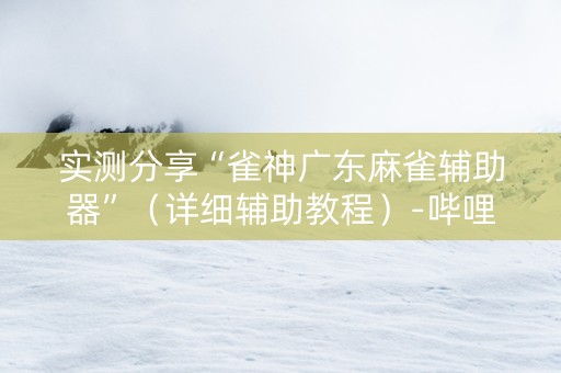 实测分享“雀神广东麻雀辅助器”（详细辅助教程）-哔哩哔哩