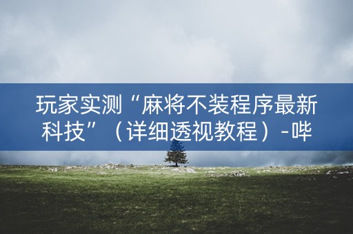 玩家实测“麻将不装程序最新科技”（详细透视教程）-哔哩哔哩