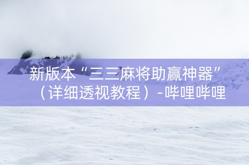 新版本“三三麻将助赢神器”（详细透视教程）-哔哩哔哩