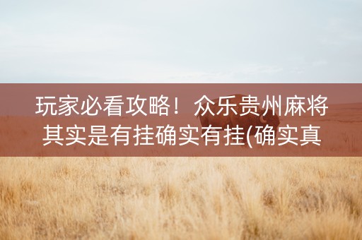 玩家必看攻略！众乐贵州麻将其实是有挂确实有挂(确实真有挂)