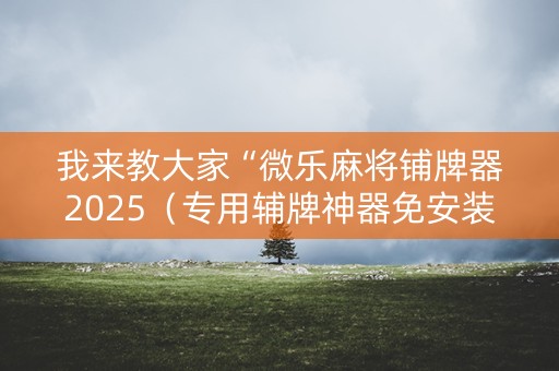 我来教大家“微乐麻将铺牌器2025（专用辅牌神器免安装）