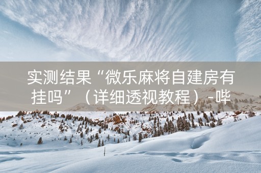 实测结果“微乐麻将自建房有挂吗”（详细透视教程）-哔哩哔哩