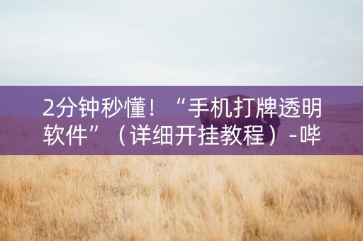 2分钟秒懂！“手机打牌透明软件”（详细开挂教程）-哔哩哔哩