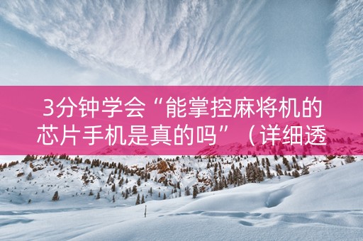 3分钟学会“能掌控麻将机的芯片手机是真的吗”（详细透视教程）-哔哩哔哩