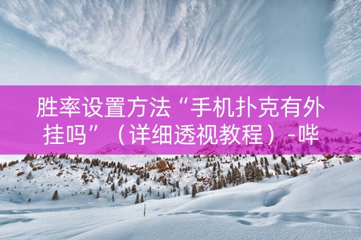 胜率设置方法“手机扑克有外挂吗”（详细透视教程）-哔哩哔哩