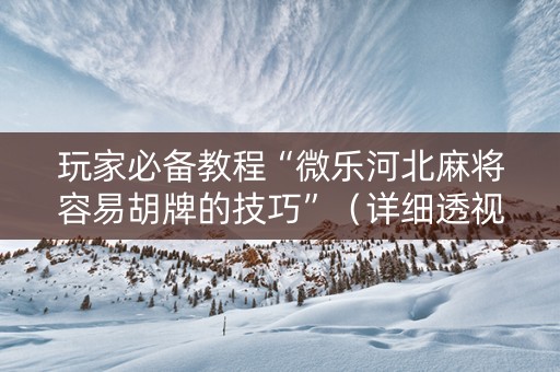 玩家必备教程“微乐河北麻将容易胡牌的技巧”（详细透视教程）-哔哩哔哩