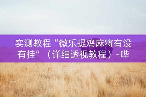 实测教程“微乐捉鸡麻将有没有挂”（详细透视教程）-哔哩哔哩