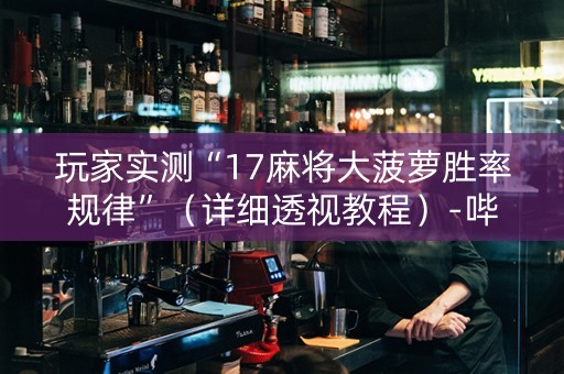 玩家实测“17麻将大菠萝胜率规律”（详细透视教程）-哔哩哔哩