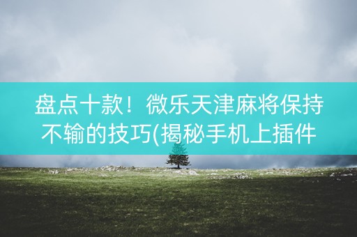 盘点十款！微乐天津麻将保持不输的技巧(揭秘手机上插件下载)
