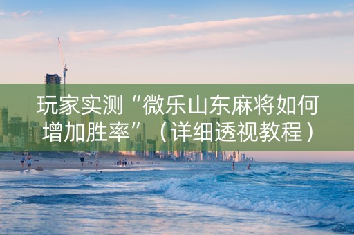 玩家实测“微乐山东麻将如何增加胜率”（详细透视教程）-哔哩哔哩