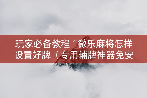 玩家必备教程“微乐麻将怎样设置好牌（专用辅牌神器免安装）