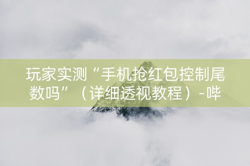 玩家实测“手机抢红包控制尾数吗”（详细透视教程）-哔哩哔哩