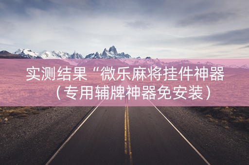 实测结果“微乐麻将挂件神器（专用辅牌神器免安装）