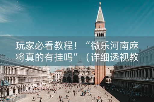 玩家必看教程！“微乐河南麻将真的有挂吗”（详细透视教程）-哔哩哔哩