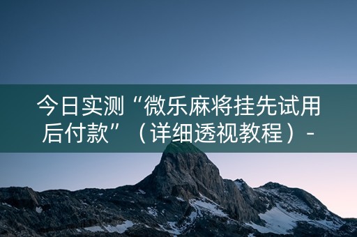 今日实测“微乐麻将挂先试用后付款”（详细透视教程）-哔哩哔哩