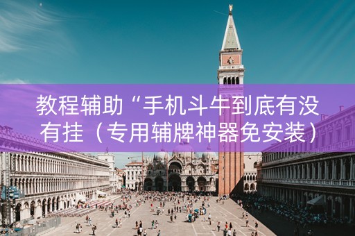 教程辅助“手机斗牛到底有没有挂（专用辅牌神器免安装）