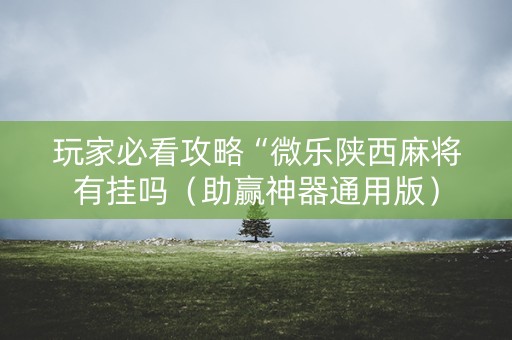 玩家必看攻略“微乐陕西麻将有挂吗（助赢神器通用版）