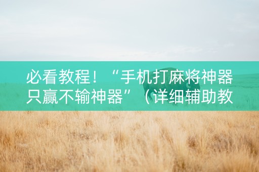 必看教程！“手机打麻将神器只赢不输神器”（详细辅助教程）-哔哩哔哩