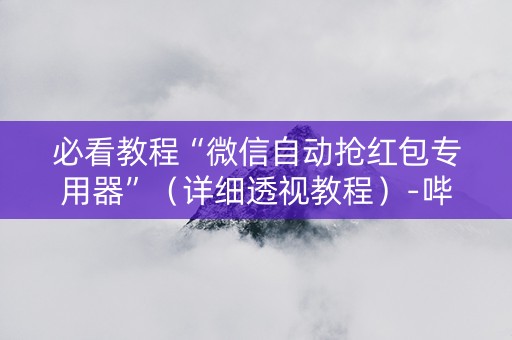 必看教程“微信自动抢红包专用器”（详细透视教程）-哔哩哔哩