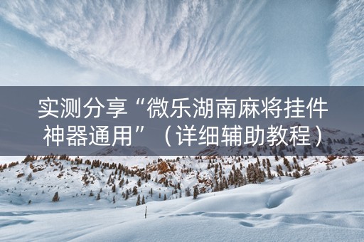 实测分享“微乐湖南麻将挂件神器通用”（详细辅助教程）-哔哩哔哩