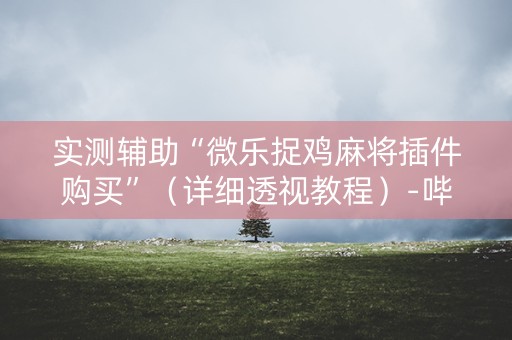 实测辅助“微乐捉鸡麻将插件购买”（详细透视教程）-哔哩哔哩