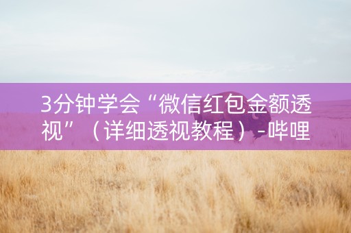 3分钟学会“微信红包金额透视”（详细透视教程）-哔哩哔哩