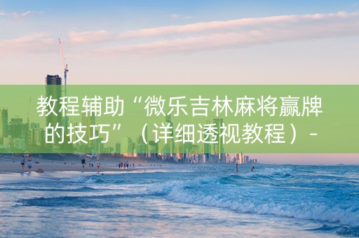 教程辅助“微乐吉林麻将赢牌的技巧”（详细透视教程）-哔哩哔哩