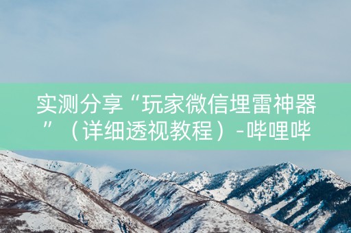 实测分享“玩家微信埋雷神器”（详细透视教程）-哔哩哔哩