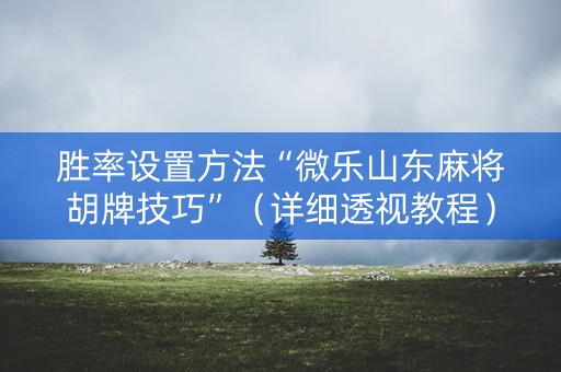 胜率设置方法“微乐山东麻将胡牌技巧”（详细透视教程）-哔哩哔哩