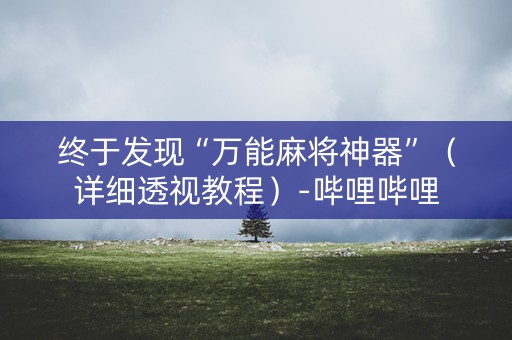 终于发现“万能麻将神器”（详细透视教程）-哔哩哔哩