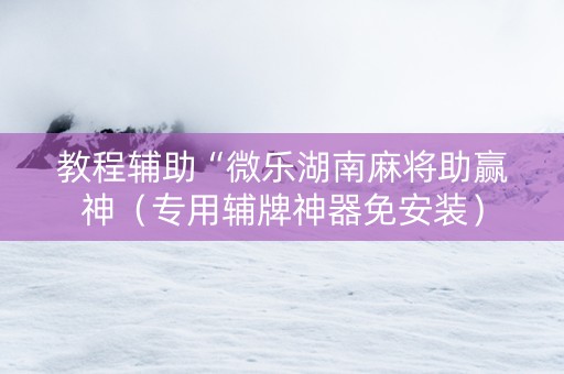 教程辅助“微乐湖南麻将助赢神（专用辅牌神器免安装）