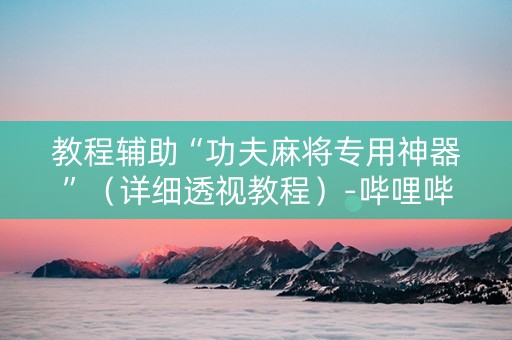 教程辅助“功夫麻将专用神器”（详细透视教程）-哔哩哔哩