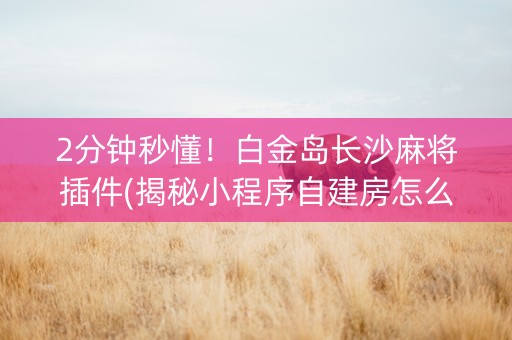 2分钟秒懂！白金岛长沙麻将插件(揭秘小程序自建房怎么赢)