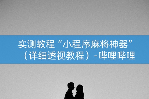 实测教程“小程序麻将神器”（详细透视教程）-哔哩哔哩