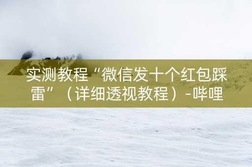 实测教程“微信发十个红包踩雷”（详细透视教程）-哔哩哔哩