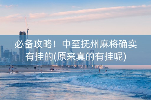 必备攻略！中至抚州麻将确实有挂的(原来真的有挂呢)