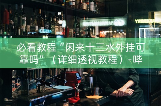 必看教程“闲来十三水外挂可靠吗”（详细透视教程）-哔哩哔哩