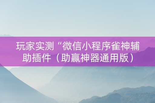 玩家实测“微信小程序雀神辅助插件（助赢神器通用版）